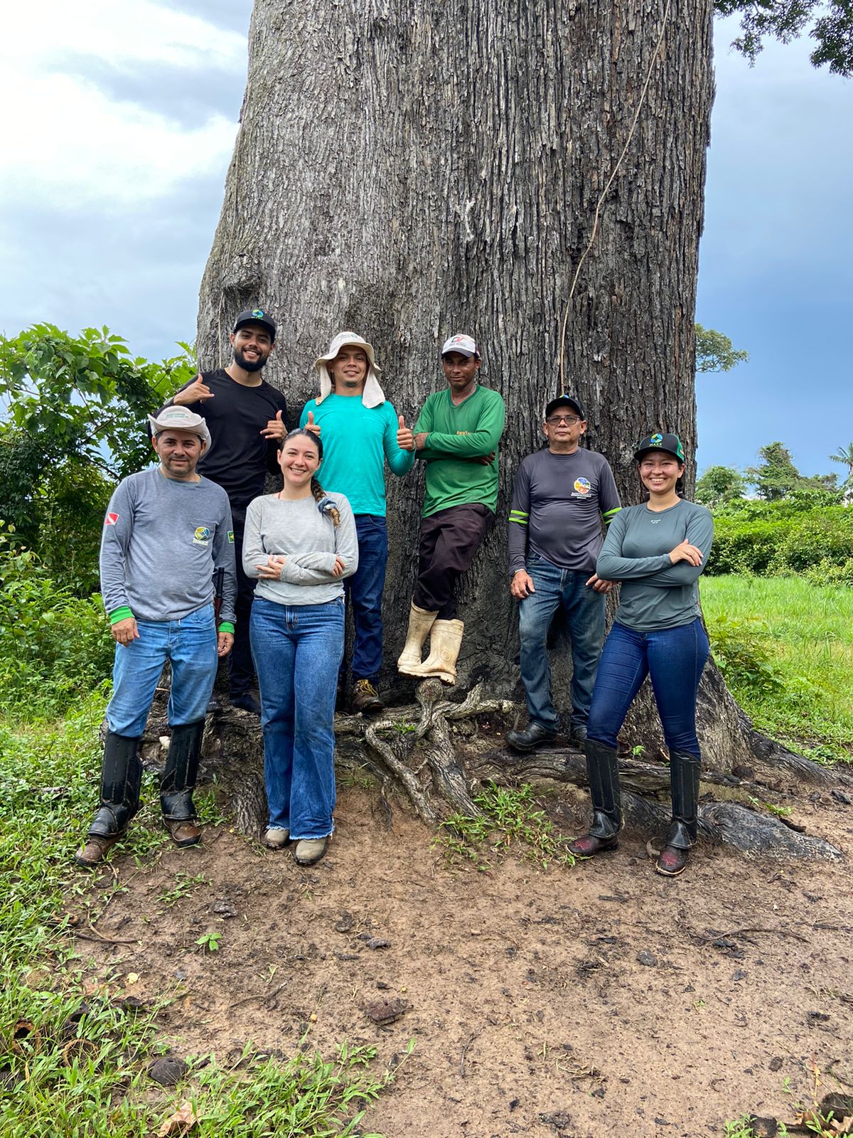Equipe em Campo para Inventário Florestal